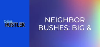 Neighbor Bushes: Big & Bangable