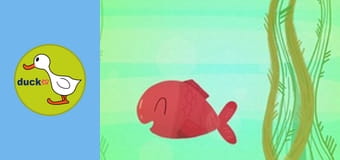 Nature Dudes - Summer Lake