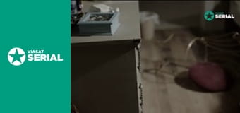 Д/с "Години на вбивство", 1 сезон, 6 с. "Дівчину перервали".