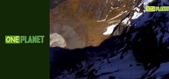 72 часа, 7 эп.