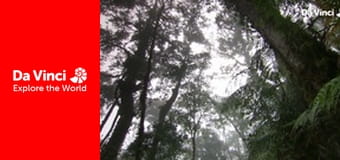 Animal Anarchists - The Pitcher Plant and a Very Sweet Trap