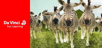 Сіяя - Найдикіший мис - Анісберґ - Схована перлина Клейн-Кару Сіяя - Найдикіший мис - Анісберґ - Схована перлина Клейн-Кару