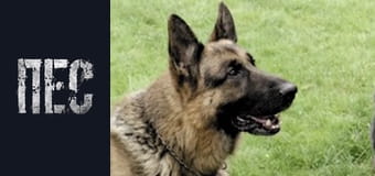 Dog, Season 1, Episode 12