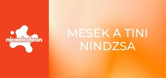 Mesék a tini nindzsa teknőcökről S1E5 - Bishop lépése