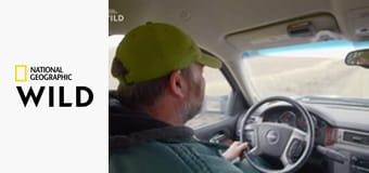 Heartland Docs, DVM: Сборник материалов о семейном бизнесе