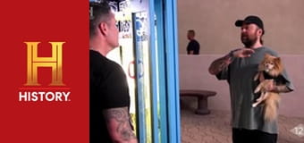 Доказательство где-то рядом, 4 сезон, 16 эп. Болотный монстр с острова Хани, видения в виде сфер и мерзкая акула-убийца.