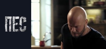 Пёс, Сезон 4, Серия 1