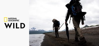 Дикая природа Аляски