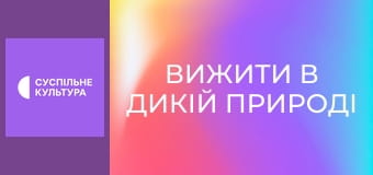 Д/с "Вижити в дикій природі", 6 с. Д/с "Вижити в дикій природі", 6 с.
