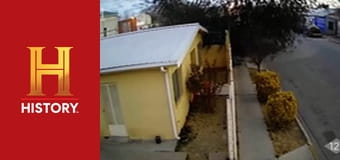 Доказательство где-то рядом, 3 сезон, 4 эп. Снежный человек, гибель черных дроздов и рыба с человеческим лицом.