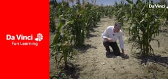 Футурис - Как создать большее биоразнообразие кукурузных культур