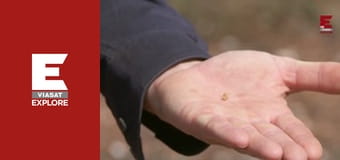 Австралийские золотоискатели - Сезон 4 Серия 4 Австралийские золотоискатели - Сезон 4 Серия 4