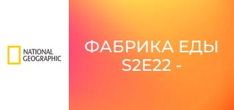 Фабрика еды S2E22 - Сальса, пралине и соус Баффало