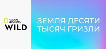 Земля десяти тысяч гризли