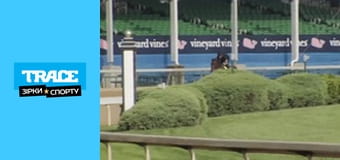 Непобедимые: Шергар Непобедимые: Шергар