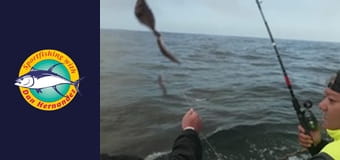 Sea Wolf, part 1 Sea Wolf, part 1