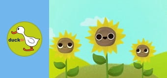 Nature Dudes - Sunflowers