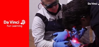 Посольство животных - Стопа горили Посольство животных - Стопа горили