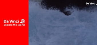 Animal Anarchists - The Nazca Booby Bad Big Brother