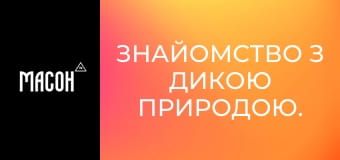 Знайомство з дикою природою. Генети звичайні. Непомітні нічні хижаки. Знайомство з дикою природою. Генети звичайні. Непомітні нічні хижаки.