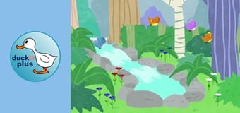 Sounds Around Us - Walk In The Forest