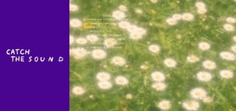 bulovinova - Холодна вода (lyric video)