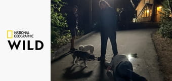 Кто-то меня укусил S1E7