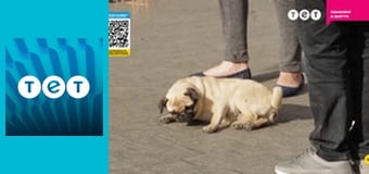 Панянка-селянка