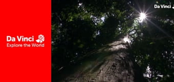 Animal Anarchists - Sloth Moths and Their Very Slow Host