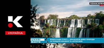 Цікаві факти.