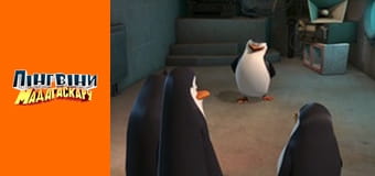 Season 1 - Episode 20