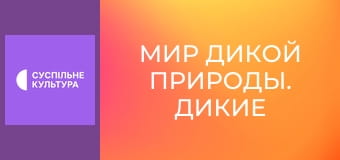 Д/с "Мир дикой природы. Дикие животные". "Властелины неба".