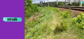 Околиці Дарницького вокзалу.