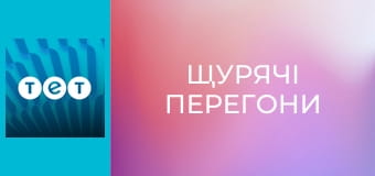 Щурячі перегони