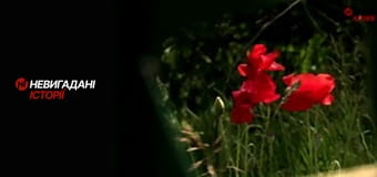 Невигадані історії. Андріївка.