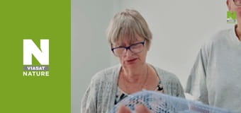 The Bizarre Pet Vets - Episode 5 The Bizarre Pet Vets - Episode 5