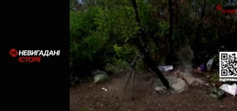 Невигадані історії.