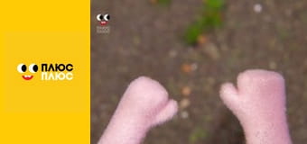 Історія жителів Сильванії