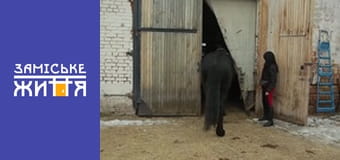 "Удачный бизнес" сезон 1 серия 23 "Удачный бизнес" сезон 1 серия 23