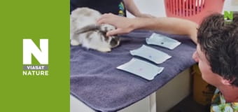 The Bizarre Pet Vets - Episode 6