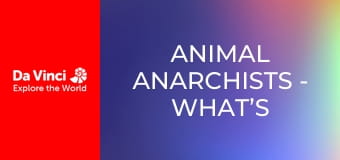 Animal Anarchists - What’s Living in This Cave?