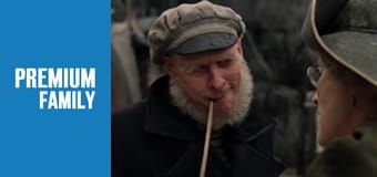 Лемоні Снікет: Тридцять три нещастя