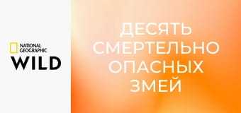 Десять смертельно опасных змей S3E4 - Аравия