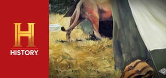 Необъяснимое с Уильямом Шетнером, 47 эп. Серийные убийцы в мире животных.