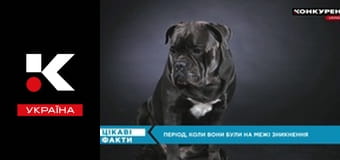 Цікаві факти.