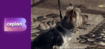 "Реальна містика", 2 сезон, 36 еп. "Дім (Мюнхгаузен)".