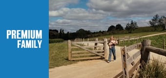 Павутиння Шарлотти