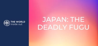 Japan: the deadly fugu fish and the city of robots.