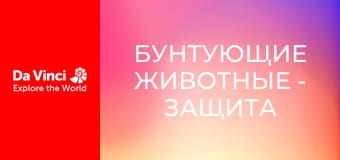 Бунтующие животные - Защита жука-бомбардира