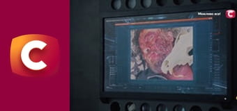 Т/с "К. О. Д.", 153 с. "Глазами собаки".